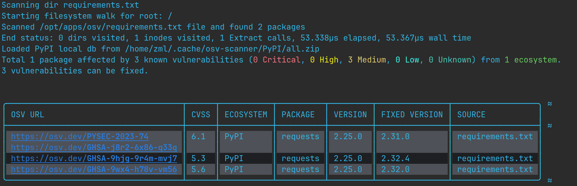 requirements 漏洞扫描结果